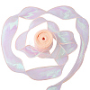 5 Rolls Flat Rainbow Color Organza Ribbon OCOR-CY0003-29B-1