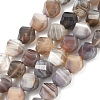 Natural Botswana Agate Beads Strands G-C267-B09-2