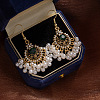 Bohemian Style Alloy Rhinestone Flower  Chandelier Earrings FS-WG4647F-01-3