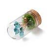 Syntheticl Crackle Turquoise Chips Money Tree in Dome Glass Bell Jars with Wood Base Display Decorations DJEW-K030-02G-2