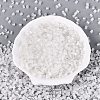 FGB Grade A Frosted Glass Seed Beads SEED-Q040-04A-12-3
