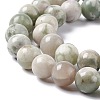 Natural Peace Jade Beads Strands X-G-G905-07-6MM-4