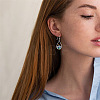 304 Stainless Steel Abalone Shell Teardrop Dangle Earrings for Women WGADE86-01-4