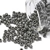 TOHO 6/0 Round Beads SEED-XTR06-0053D-1