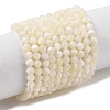 Natural Trochus Shell Beads Strands SHEL-P017-05-1