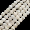 Natural White Moonstone Beads Strands G-L664-A01-8mm-2
