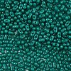 Baking Paint Glass Seed Beads SEED-L011-09A-03-3