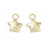 Alloy Charms AL-CBA5609-10G-A-1