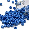 TOHO 3/0 Round Beads SEED-XTR03-0043D-1