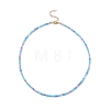 Glass Seed Beaded Necklace with 304 Stainless Steel Clasp for Women NJEW-JN04113-4
