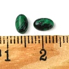 Synthetic Malachite Cabochons G-A094-01A-41-3