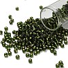 TOHO 6/0 Round Beads X-SEED-TR06-0037-1