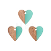 Resin & Wood Pendants LS-RESI-CJC0001-19C-3