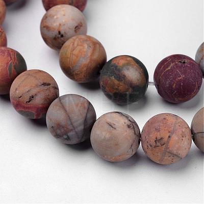 Natural Polychrome Jasper/Picasso Stone/Picasso Jasper Beads Strands G-D809-03-10mm-1