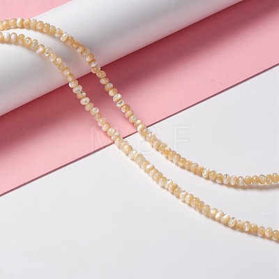 Natural Trochid Shell/Trochus Shell Beads Strands SSHEL-O001-24B-01-1