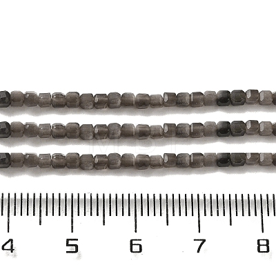 Natural Silver Obsidian Beads Strands G-B074-C10-01-1