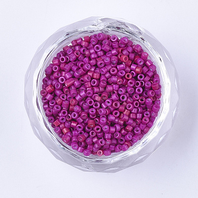 Baking Paint Cylinder Seed Beads SEED-Q036-02A-D10-1