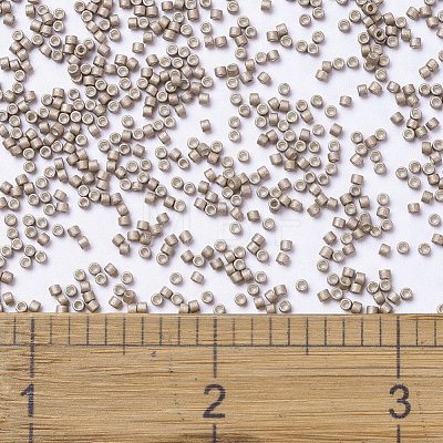 MIYUKI Delica Beads SEED-JP0008-DB1162-1