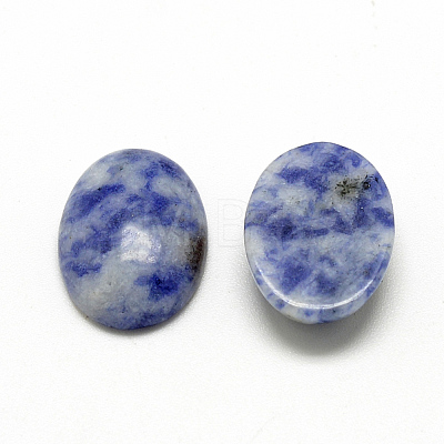 Natural Blue Spot Jasper Cabochons G-R415-14x10-45-1