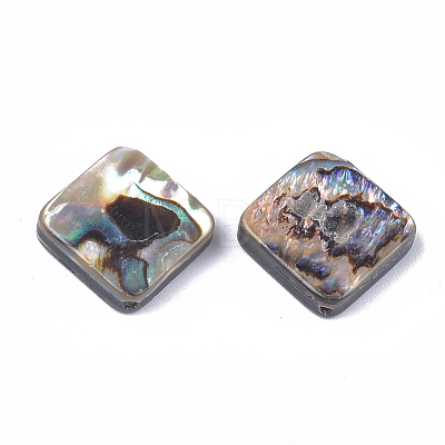 Abalone Shell/Paua Shell Beads SSHEL-T008-15-1