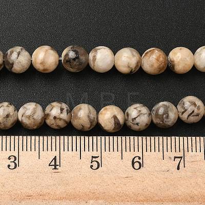 Natural Feldspar Beads Strands X-G-S259-26-6mm-1