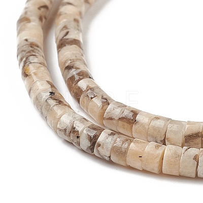 Natural Feldspar Beads Strands X-G-H230-47-1