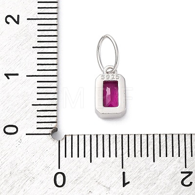 925 Sterling Silver Cubic Zirconia Charms STER-NH0014-01P-07-1