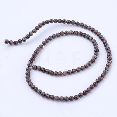 Natural Snowflake Obsidian Beads Strands G-Q462-4mm-37-1