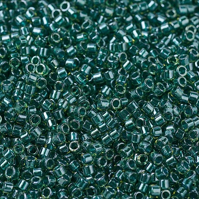 MIYUKI Delica Beads SEED-J020-DB0919-1