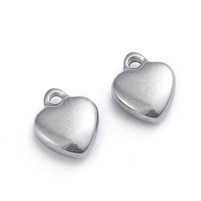 304 Stainless Steel Charms STAS-G236-01P-B-1