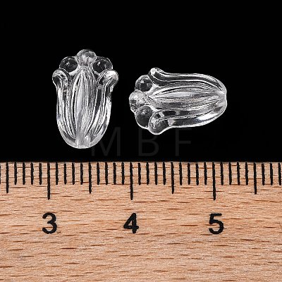 Transparent Acrylic Beads OACR-M011-07-1