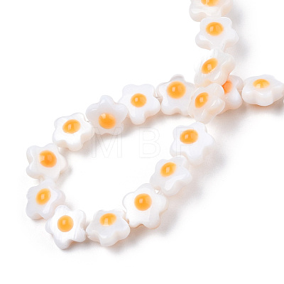 Natural White Shell Beads Strands SHEL-N003-30-1