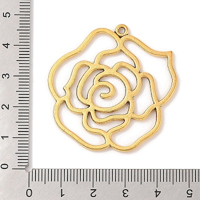 Tibetan Style Alloy Pendants GLF10554Y-1