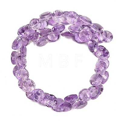 Natural Amethyst Beads Strands G-Z152-B01-02-1