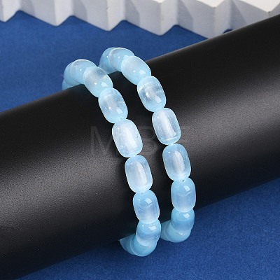 Dyed Natural Selenite Column Beaded Stretch Bracelets for Women BJEW-I312-05B-1