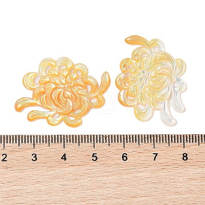 Natural Yellow Shell Carved Cabochons SSHEL-C012-24B-1