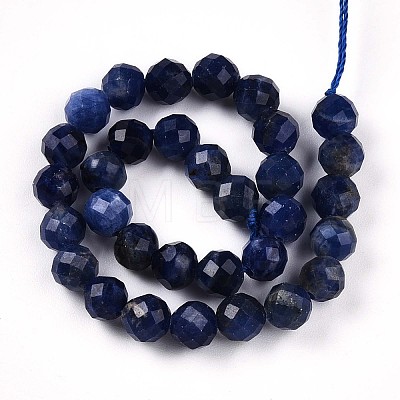 Natural Sodalite Beads Strands G-S345-6mm-26-1