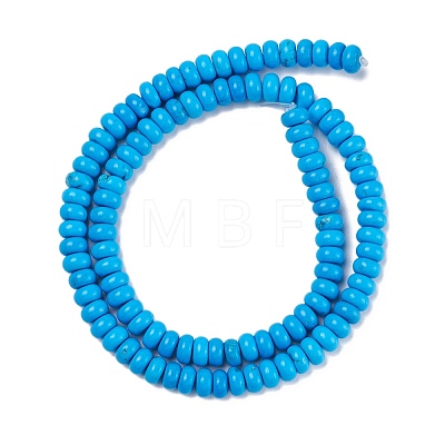 Natural Magnesite Beads Strands TURQ-Z002-02B-1