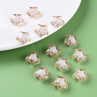 Transparent Acrylic Beads TACR-S152-02A-760-1