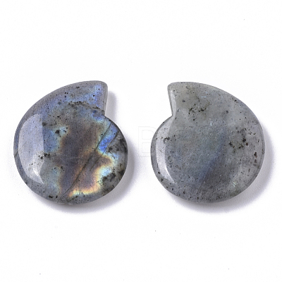 Natural Labradorite Beads G-R464-008B-1