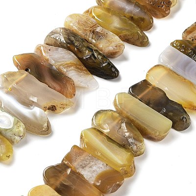 Natural Botswana Agate Beads Strands G-L551B-15-1