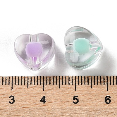 Transparent Acrylic Bead in Bead OACR-H112-05B-1