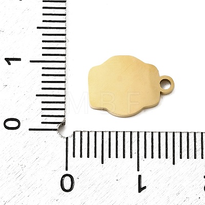304 Stainless Steel Enamel Charms STAS-I336-04G-01-1