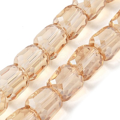 Electroplate Glass Beads Strands EGLA-L045-E-PL02-1