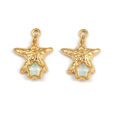 304 Stainless Steel Pendants STAS-P410-09G-1