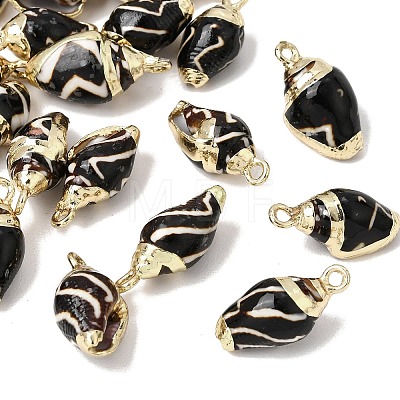 Brass & Natural Shell Pendants SH-CBA27C9-13-1