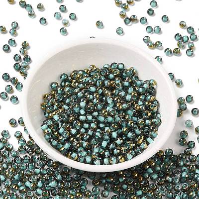 Glass Seed Beads SEED-H002-B-D222-1