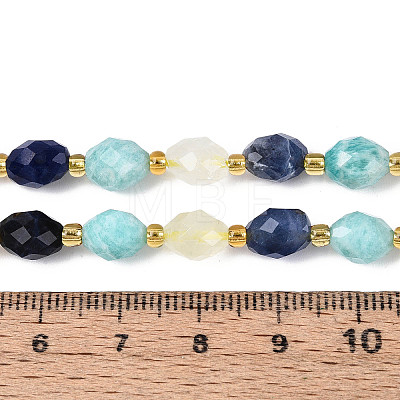 Natural Sodalite & Flower Amazonite & Lemon Quartz Beads Strands G-N358-04A-07-1