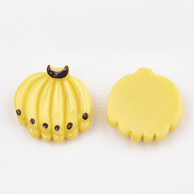 Resin Cabochons CRES-S358-19-1