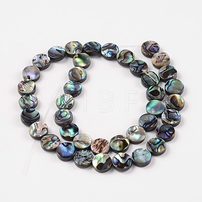 Natural Abalone Shell/Paua Shell Beads Strands SSHEL-G003-5-10x3mm-1